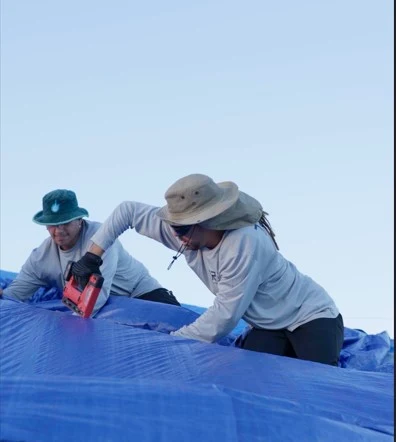 Two technicians fastening a blue tarp on a roof